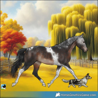 Horse Color:Brown Mushroom Tobiano Rabicano