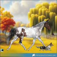 Horse Color:White Spotted Liver Chestnut Tobiano Rabicano