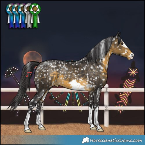 Horse Color:Buckskin Snowflake Varnish