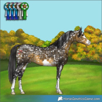 Horse Color:Buckskin Snowflake Varnish