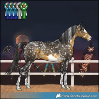 Horse Color:Buckskin Snowflake Varnish