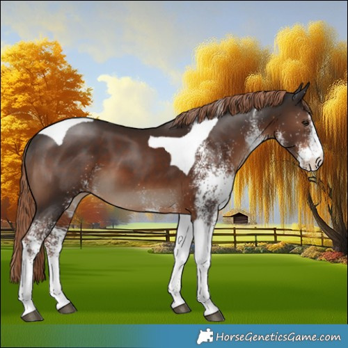 Horse Color:White Spotted Liver Chestnut Tobiano 