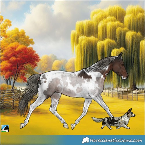 Horse Color:White Spotted Liver Chestnut Mushroom Tobiano Rabicano