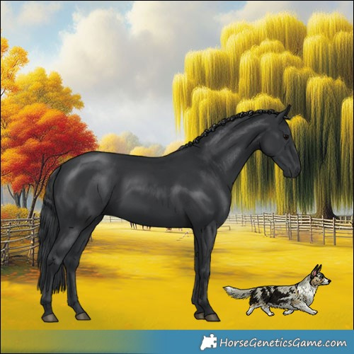 Horse Color:Platinum Black Rabicano 