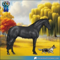 Horse Color:Platinum Black Rabicano