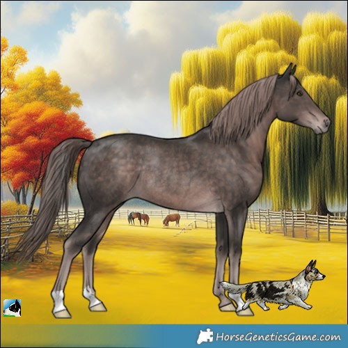 Horse Color:Platinum Liver Chestnut Rabicano 