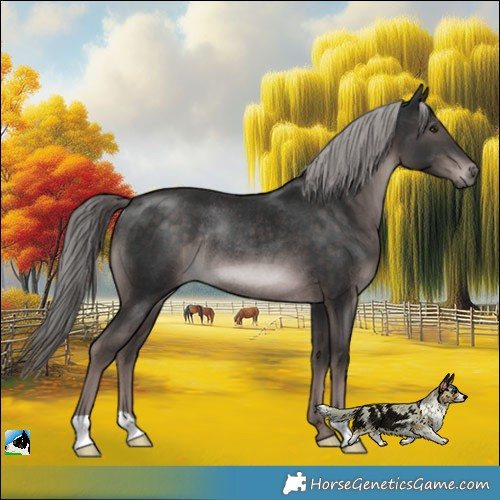 Horse Color:Platinum Liver Chestnut Rabicano 