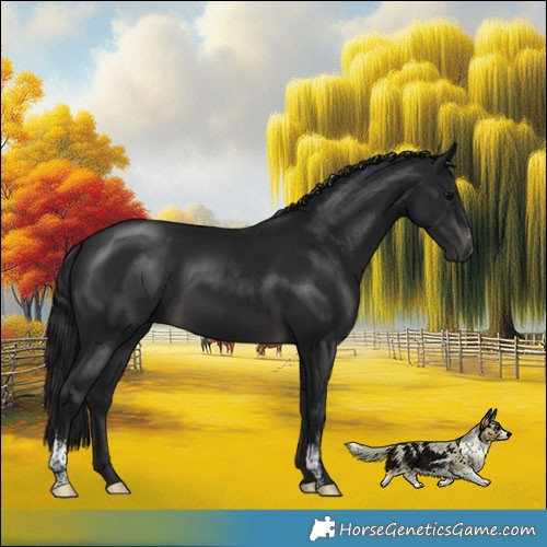 Horse Color:Gray Platinum Brown Sabino Rabicano 