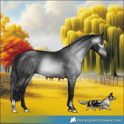Horse Color:Gray Platinum Brown Sabino Rabicano