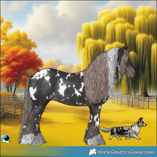 Horse Color:Platinum White Spotted Liver Chestnut Rabicano 