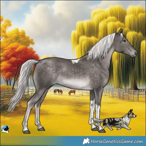 Horse Color:Platinum Chocolate Palomino Tobiano Rabicano