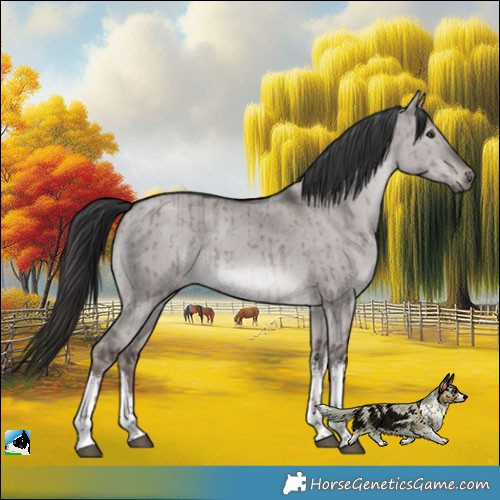 Horse Color:Platinum White Spotted Liver Red Dun Brindle 