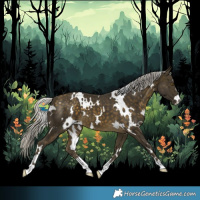 Horse Color:White Spotted Silver Buckskin 