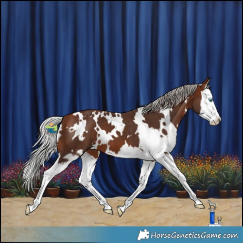 Horse Color:White Spotted Silver Bay Splash 