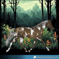 Horse Color:White Spotted Silver Buckskin 