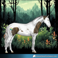 Horse Color:Silver Buckskin Splash Tobiano 