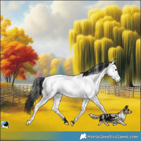 Horse Color:Brown Dun Near Fewspot Rabicano