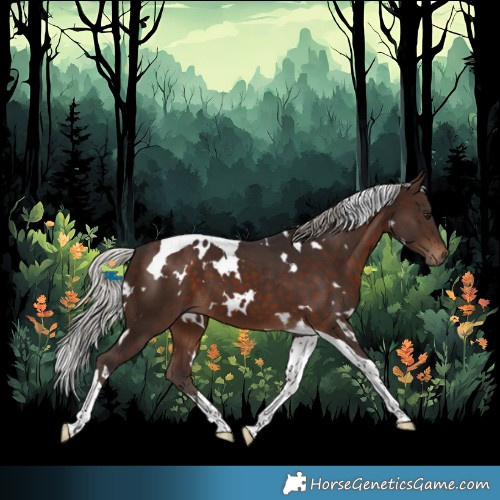 Horse Color:White Spotted Silver Brown Tobiano 