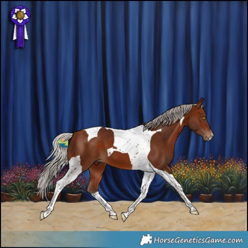 Horse Color:Silver Bay Tobiano 