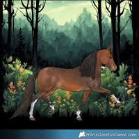 Horse Color:Bay Tobiano 