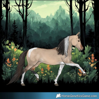 Horse Color:Bay Dun Tobiano 