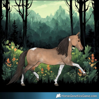 Horse Color:Bay Dun Tobiano 