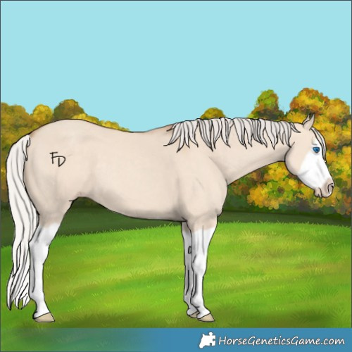 Horse Color:Silver Classic Champagne Dun Splash Frame