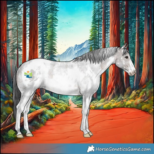 Horse Color:White Spotted Brown Mushroom Sabino