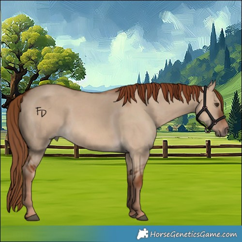 Horse Color:Red Dun 