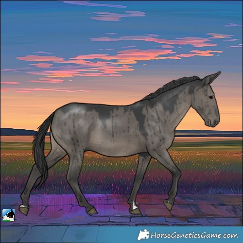 Horse Color:Grullo Rabicano Brindle 