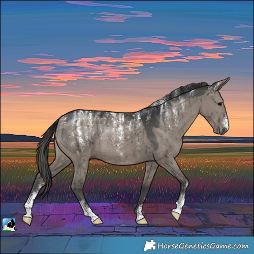 Horse Color:Powder White Grullo Rabicano Brindle