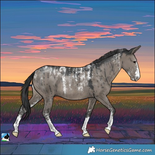 Horse Color:Powder White Grullo Rabicano Brindle 