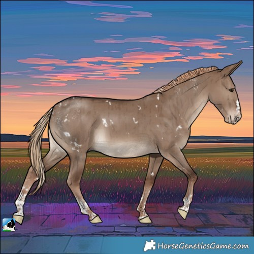 Horse Color:Powder White White Spotted Liver Red Dun Splash Rabicano Brindle 