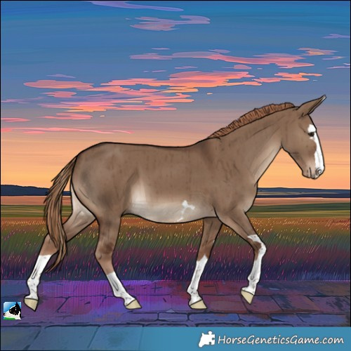 Horse Color:Liver Red Dun Brindle