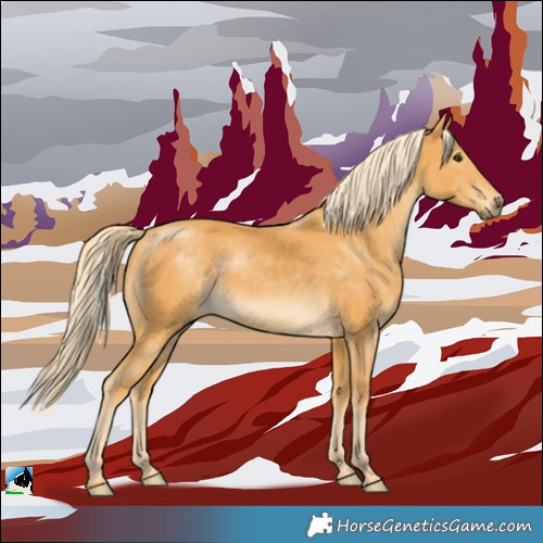 Horse Color:Palomino Rabicano