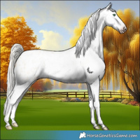 Horse Color:Gray Silver Amber Cream Champagne Roan Dun Splash Tobiano Frame Blanket Rabicano