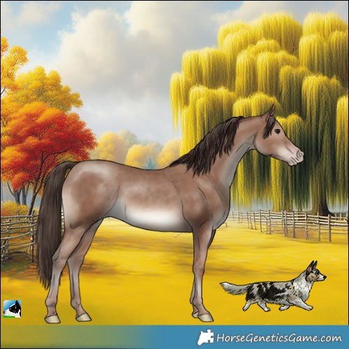 Horse Color:Classic Champagne 