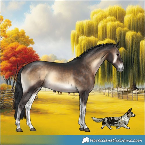 Horse Color:Brown Onyx Rabicano 