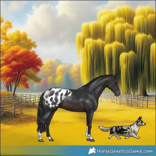 Horse Color:Brown Tobiano Blanket Rabicano