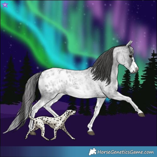 Horse Color:White Spotted Blue Roan Splash Frame Blanket