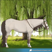 Horse Color:Classic Champagne Dun 