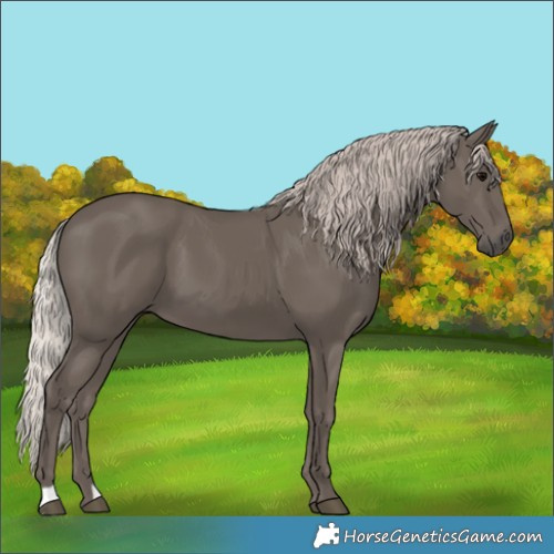 Horse Color:Silver Black 