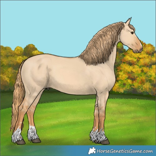 Horse Color:Red Dun 