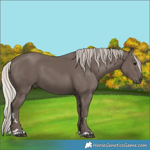 Horse Color:Silver Black 