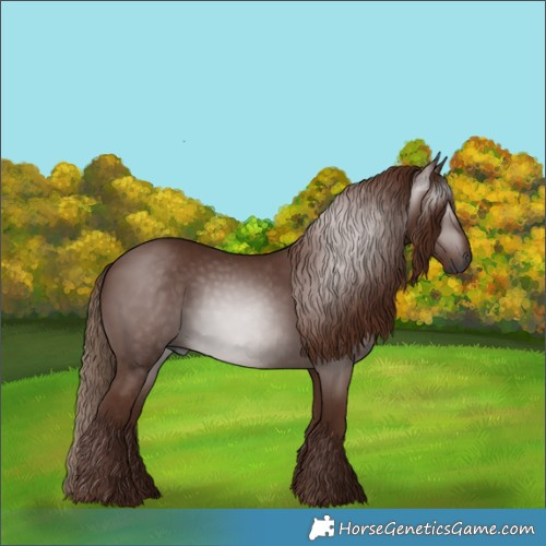 Horse Color:Gray Chestnut