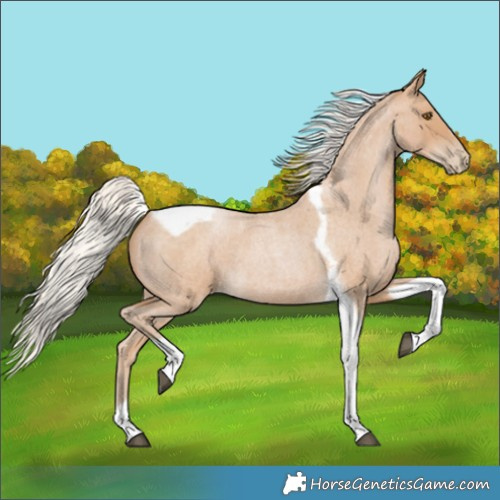 Horse Color:Silver Blue Roan Pearl Tobiano Frame 