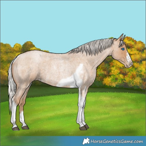 Horse Color:Silver Blue Roan Pearl Tobiano Frame 