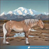 Horse Color:White Spotted Silver Bay Dun Tobiano