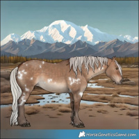 Horse Color:White Spotted Silver Brown Dun Rabicano 