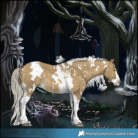 Horse Color:White Spotted Silver Buckskin Dun Splash Tobiano Rabicano Brindle
